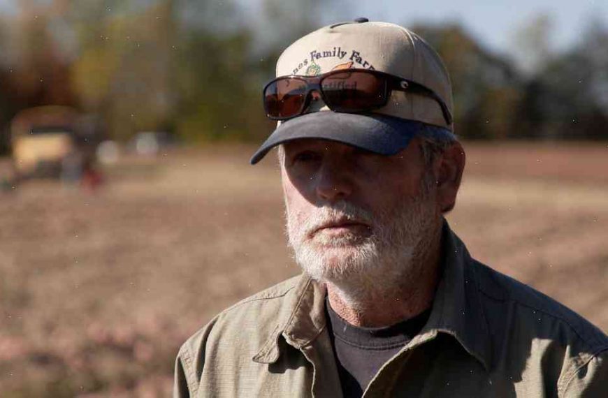 The six farmers who faced bankruptcy: ‘I’ve lost $100,000’