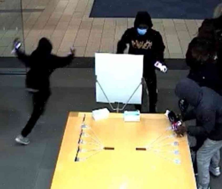 Apple store break-in: Thieves steal cash in wide-scale robbery